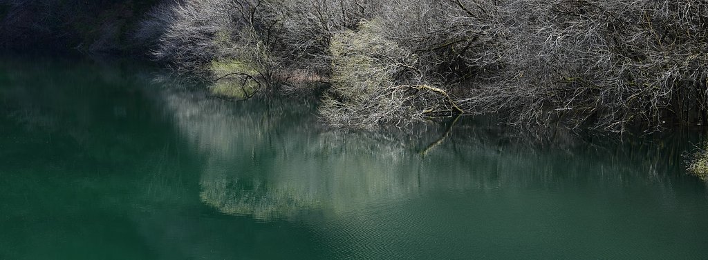 reflection