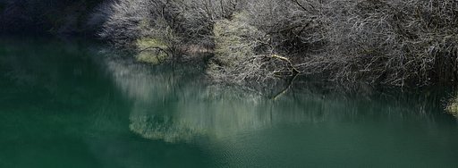 reflection