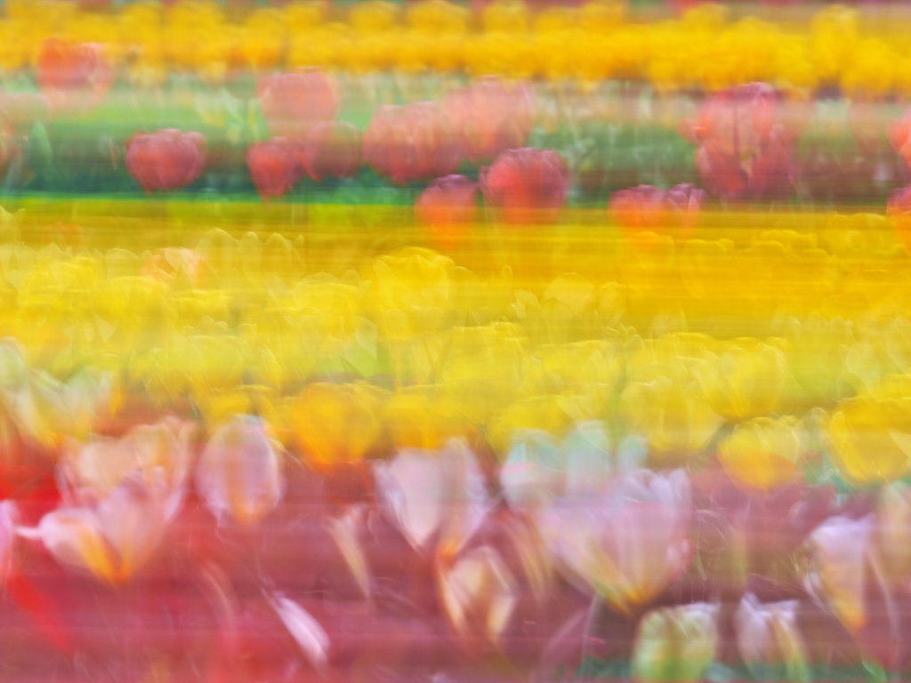 春嵐