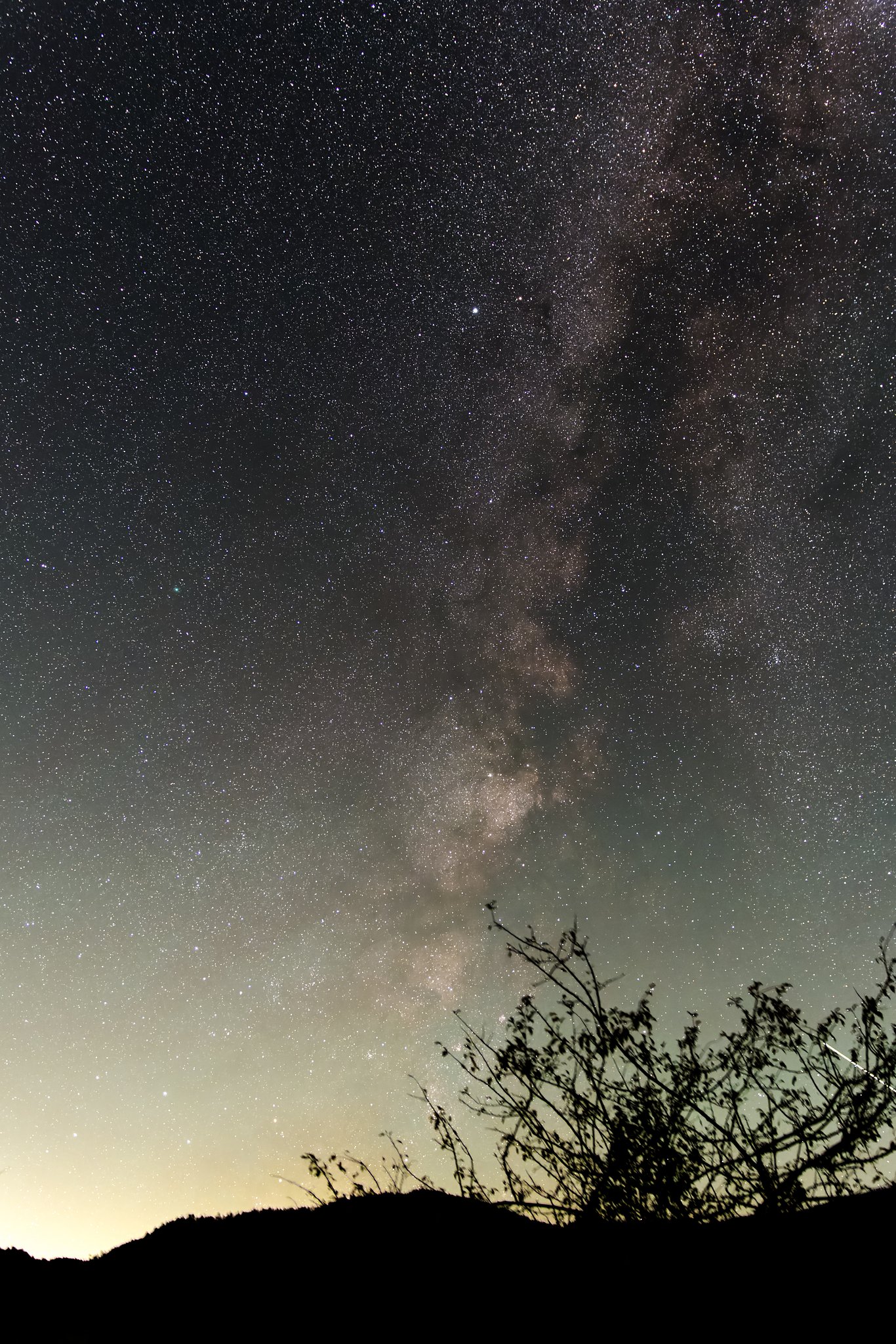 さようならスワン彗星