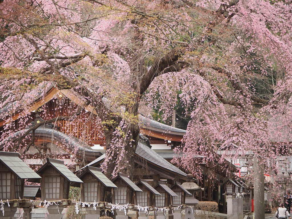 いにしえの春を思う〜南湖神社〜