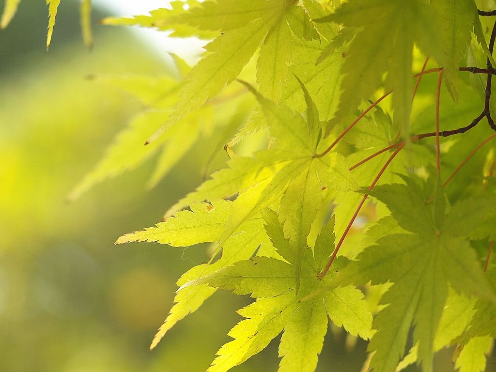 まだまだですね。^^;