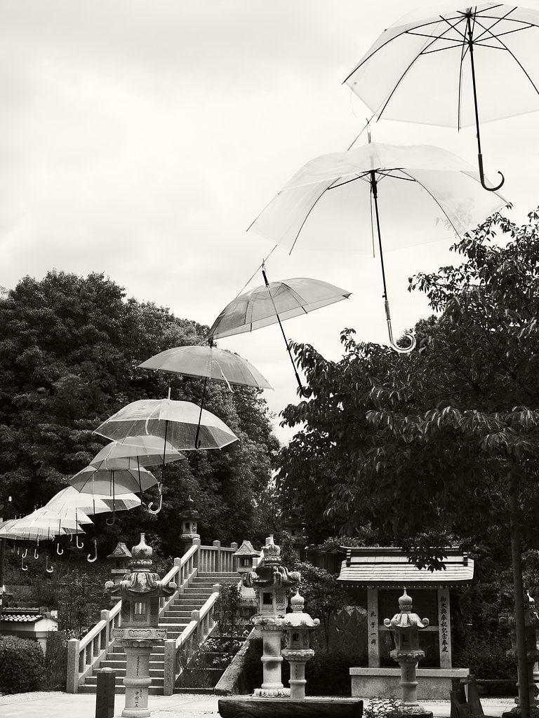 L.M.Floating Umbrella