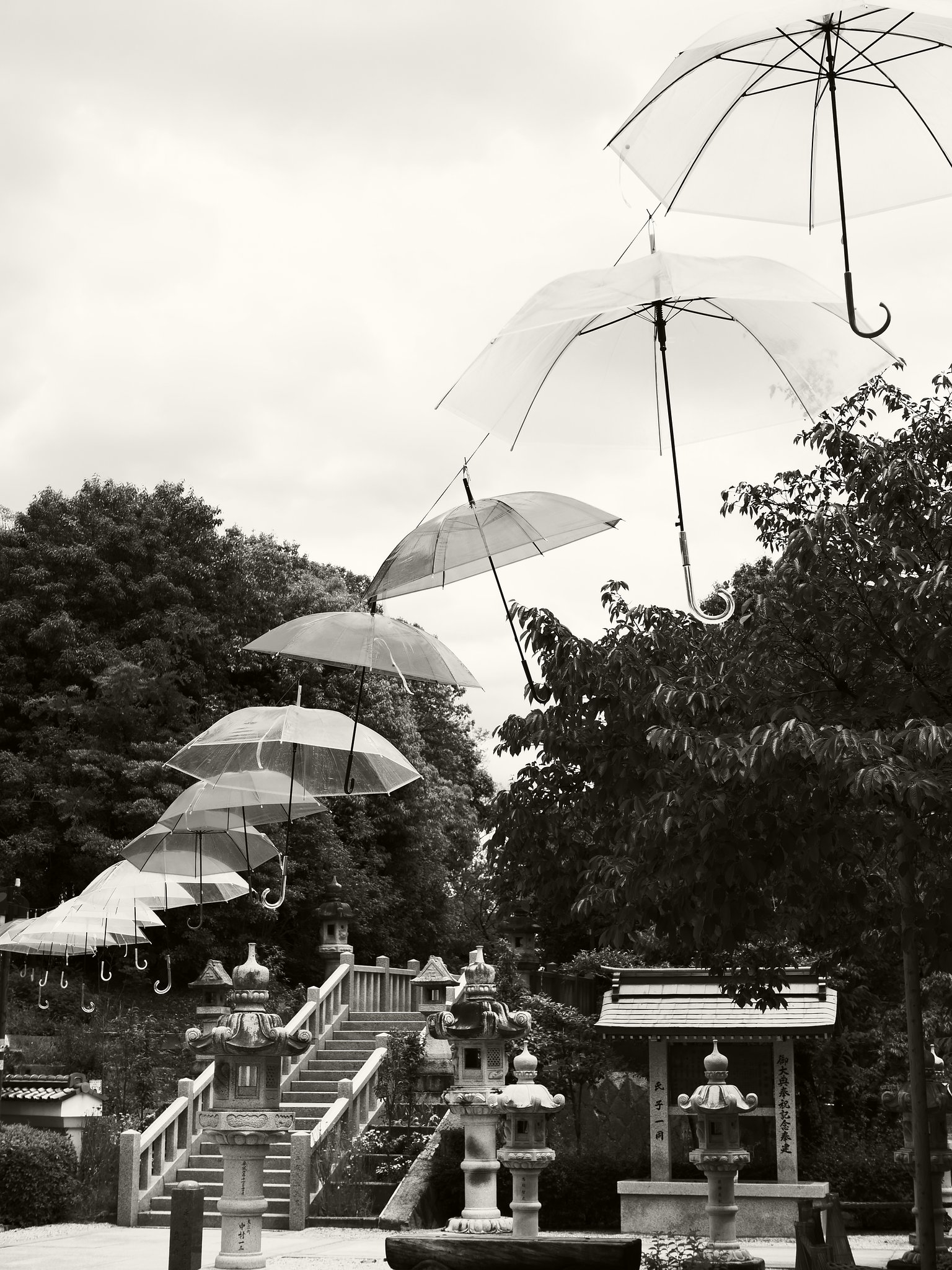 L.M.Floating Umbrella