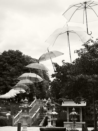 L.M.Floating Umbrella