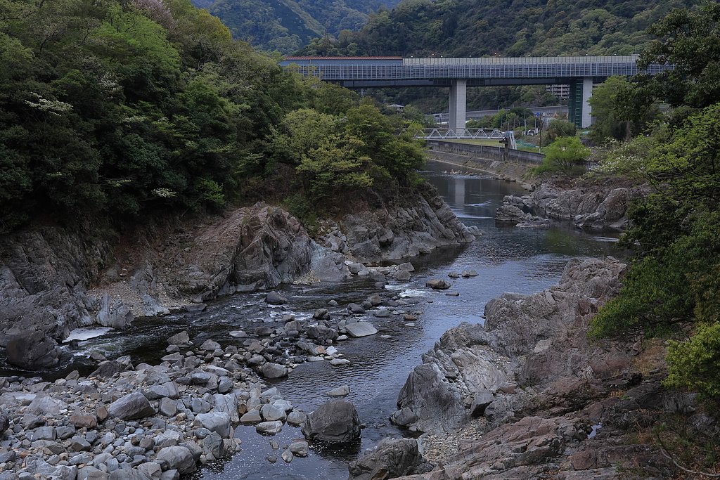 近所の散歩道で