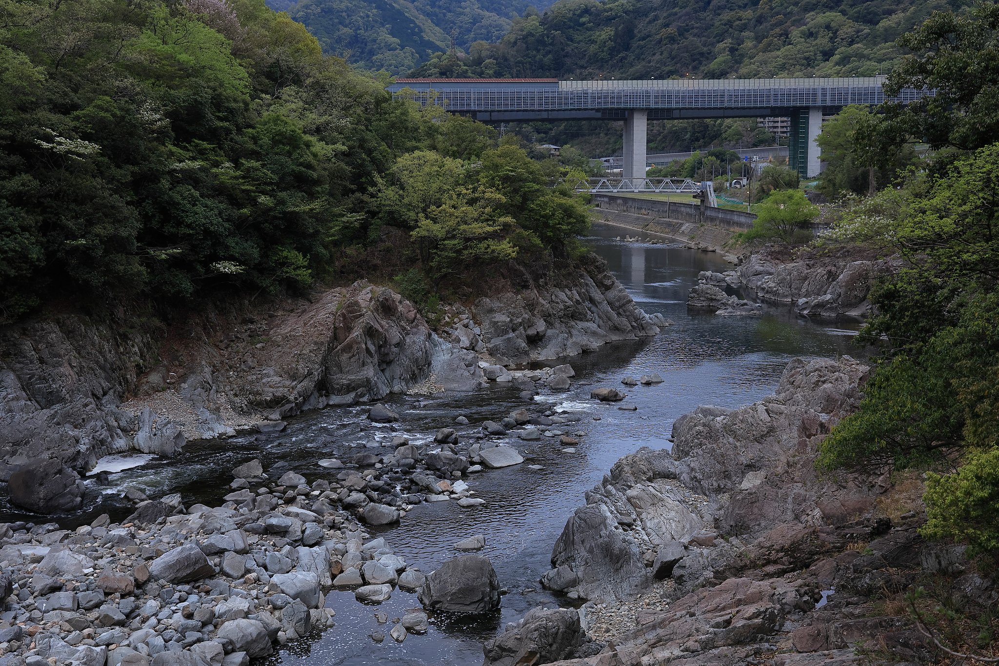 近所の散歩道で