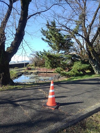 長峰公園の木の隙間から見えた池