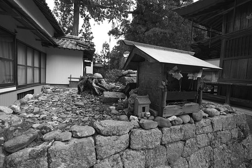 6月7日の写真