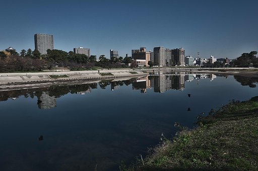 Reflection