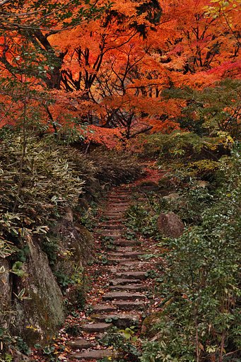 燃え