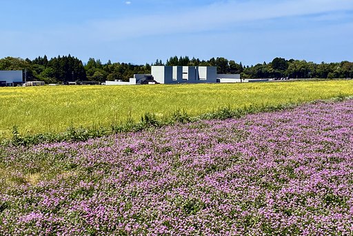 春の田園風景