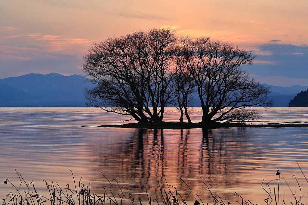 琵琶湖 夕景
