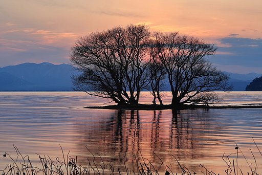 琵琶湖 夕景