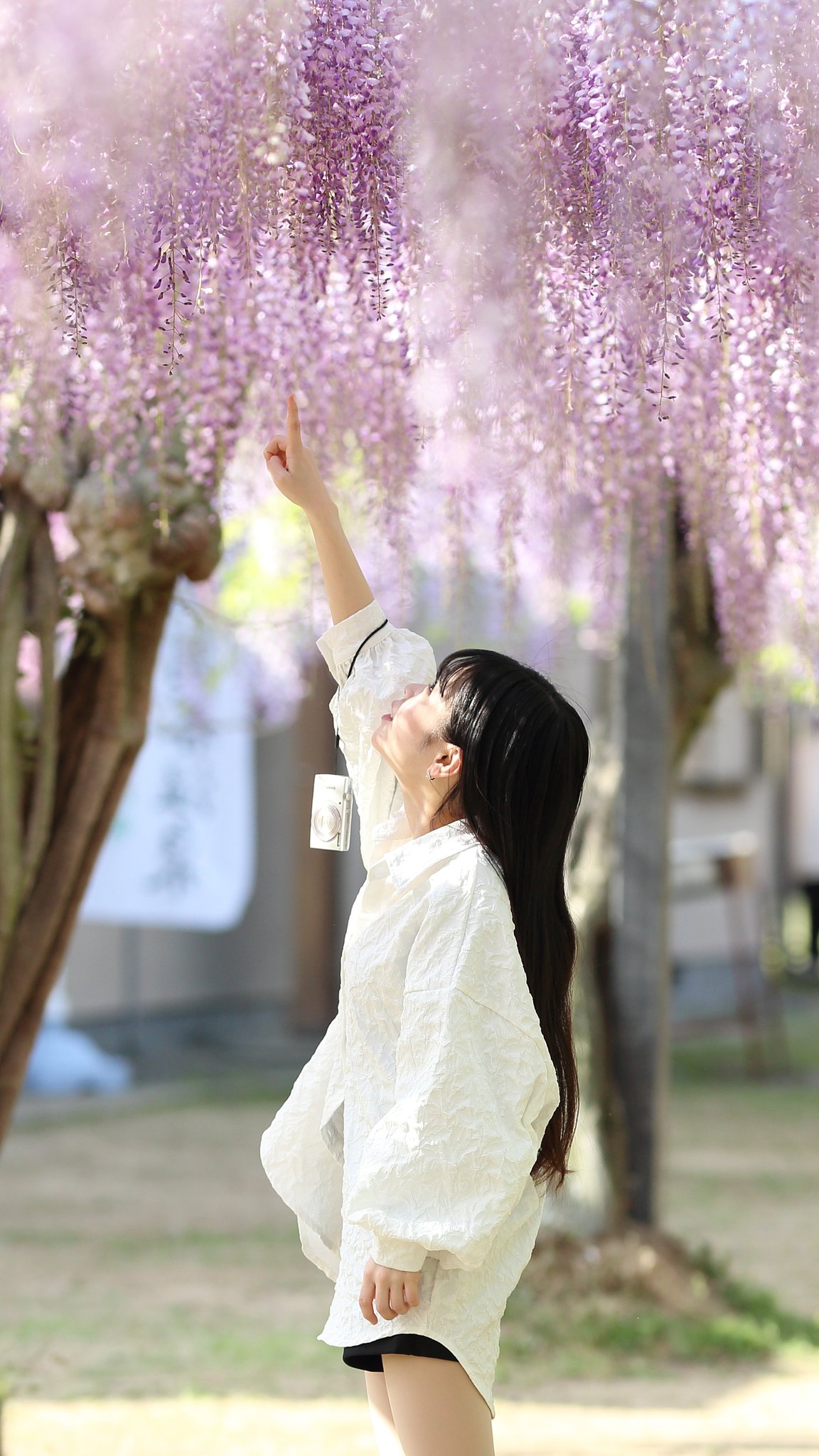 爽やか美人百景　～少女IXYは白と銀が似合います～