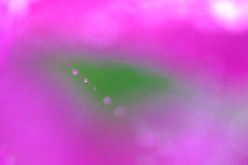 雨が上がると