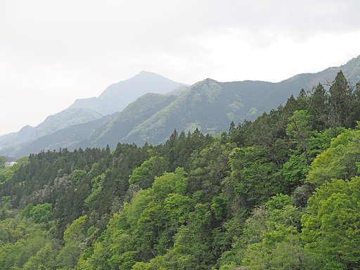 Let it green