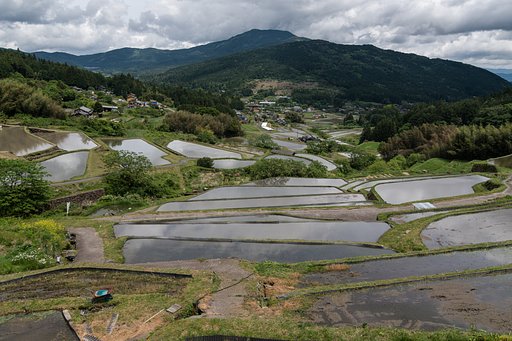 緑の季節