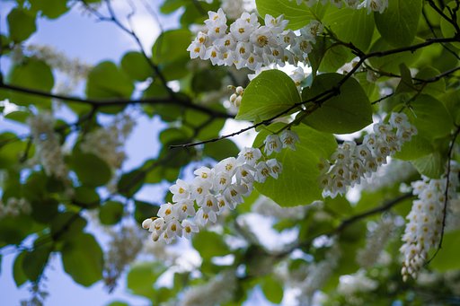 4月29日の写真