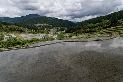 緑の季節Ⅱ