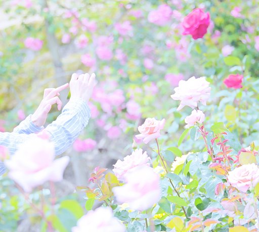 Beautiful、H