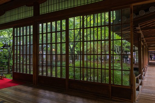 緑に癒される３