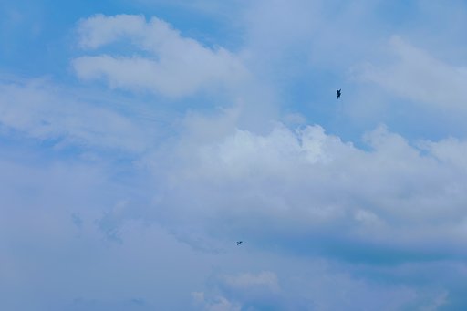 6月2日の写真