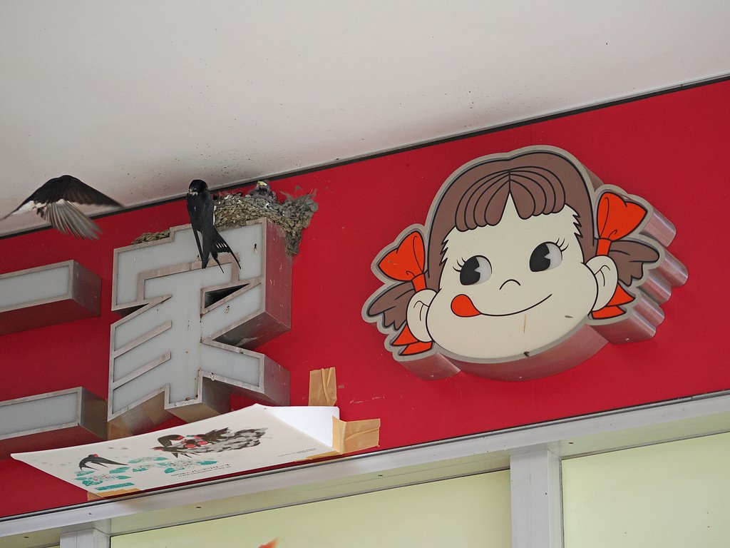 ぺこちゃんハウスの間取り２