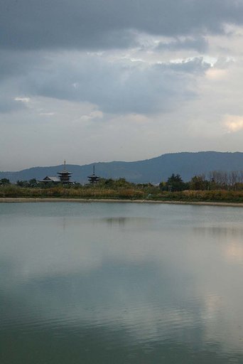 薬師寺遠望