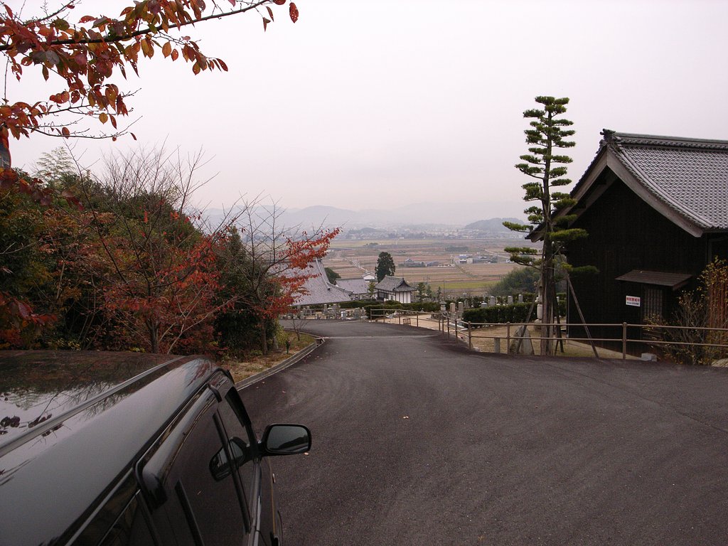 こいつぁーいいや