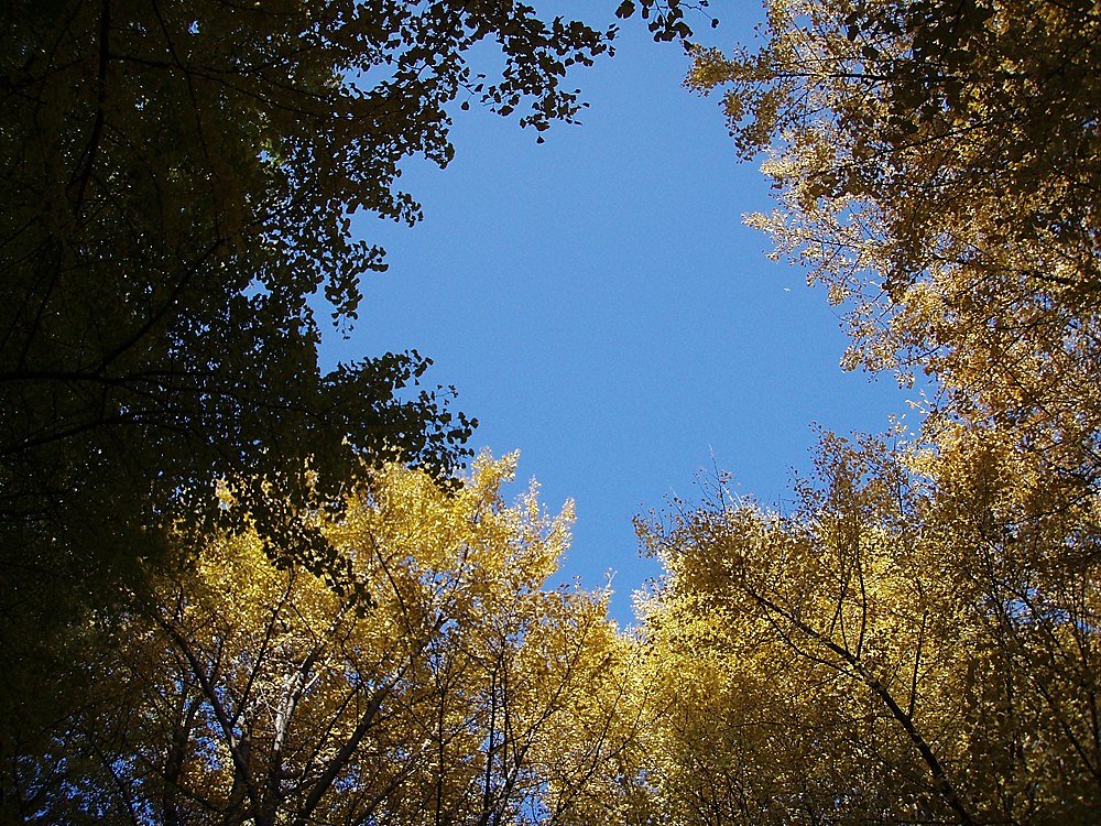 東京の空