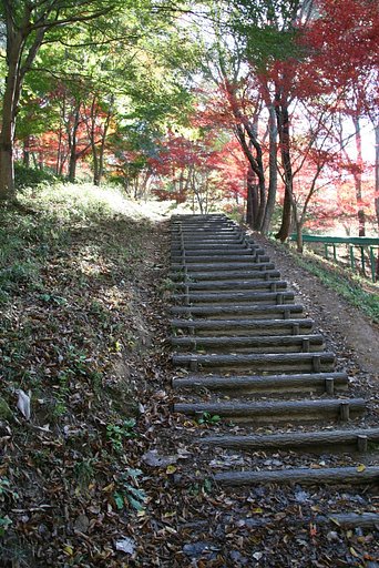 階段の向こうに・・・!