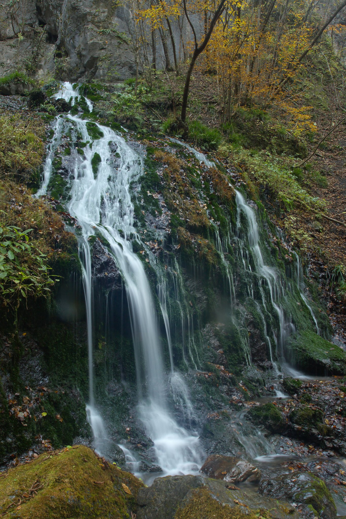 白水の滝
