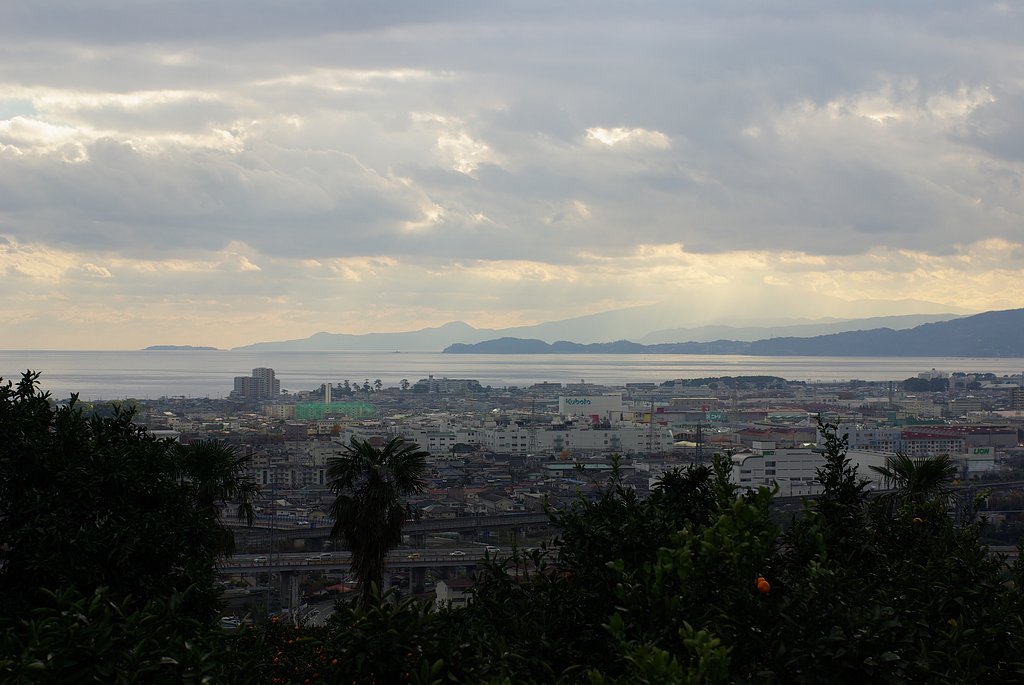 Ｋ１０Ｄ+ＦＡ５０ｍｍＦ１．４