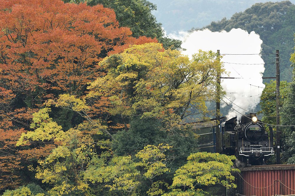 紅葉の中を走る