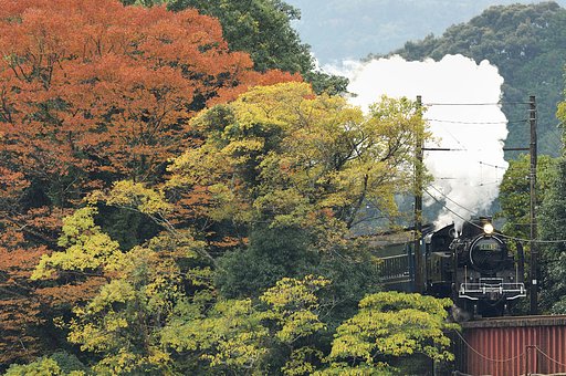 紅葉の中を走る