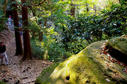 苔むした小岩