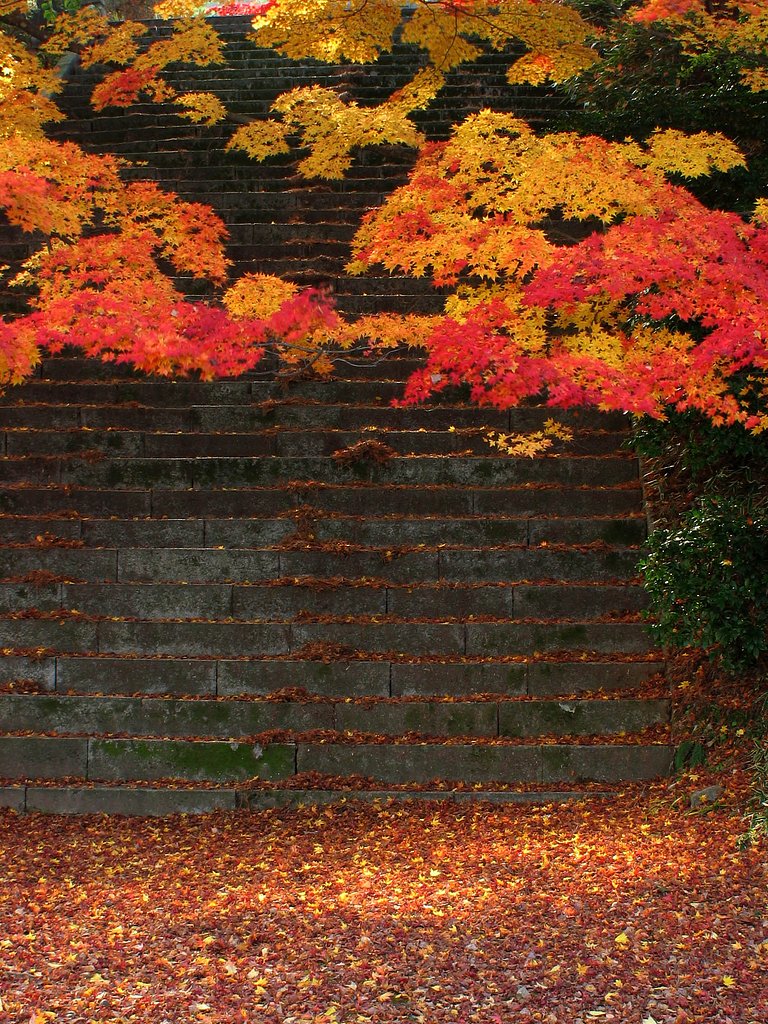 寸光の石段
