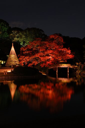 六義園にて（3）