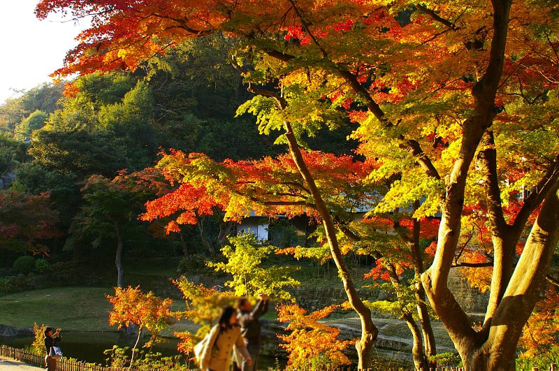 境内の紅葉