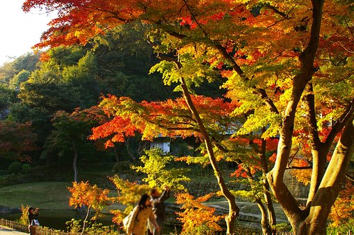 境内の紅葉