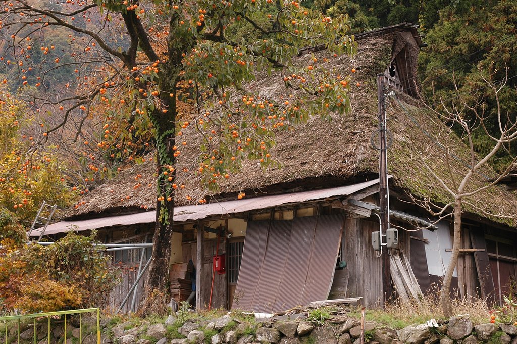 秋深まるくず屋根集落