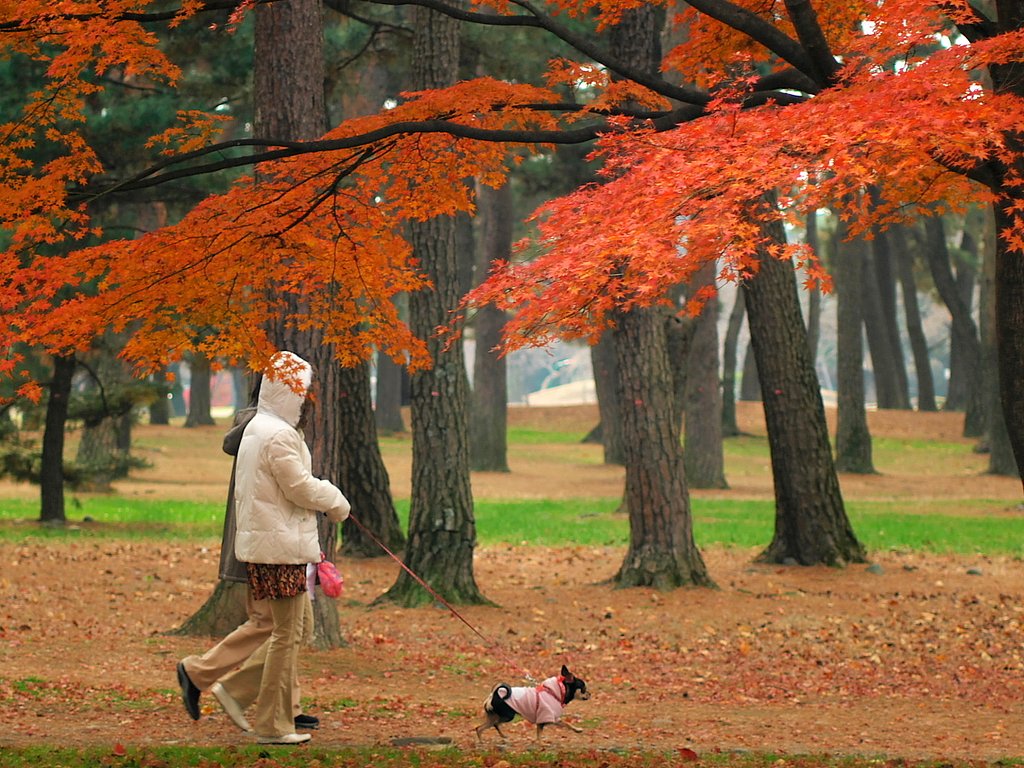 お散歩です〜ぅ