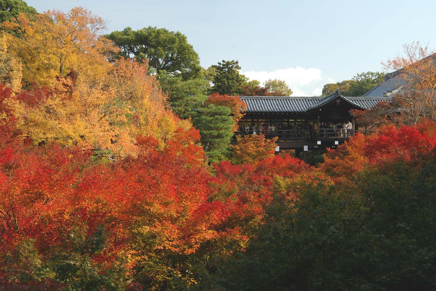東福寺通天橋