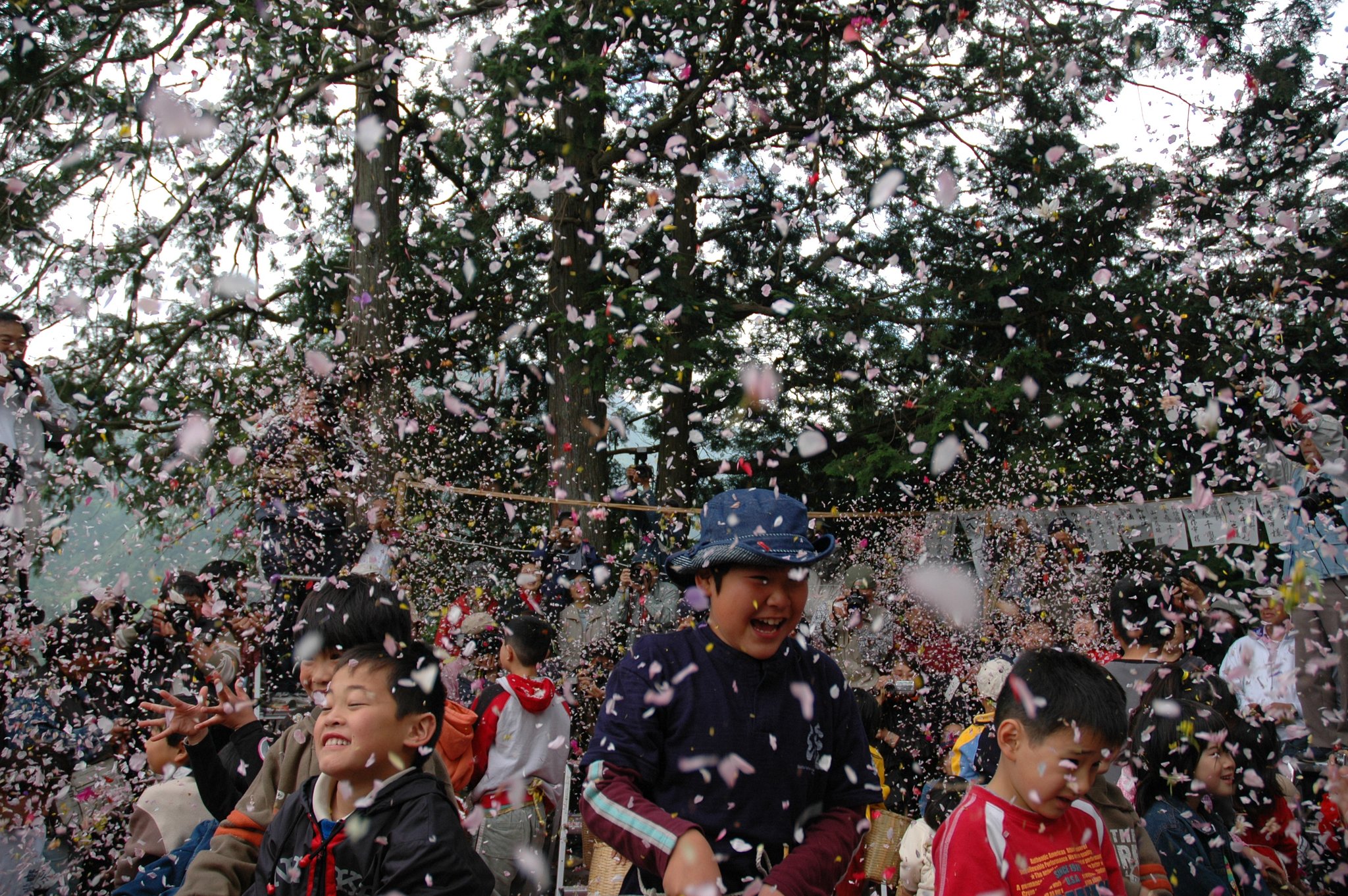 塚越花祭り