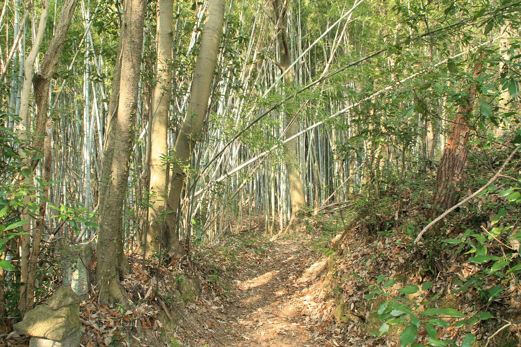 私の原風景「里山の小道」