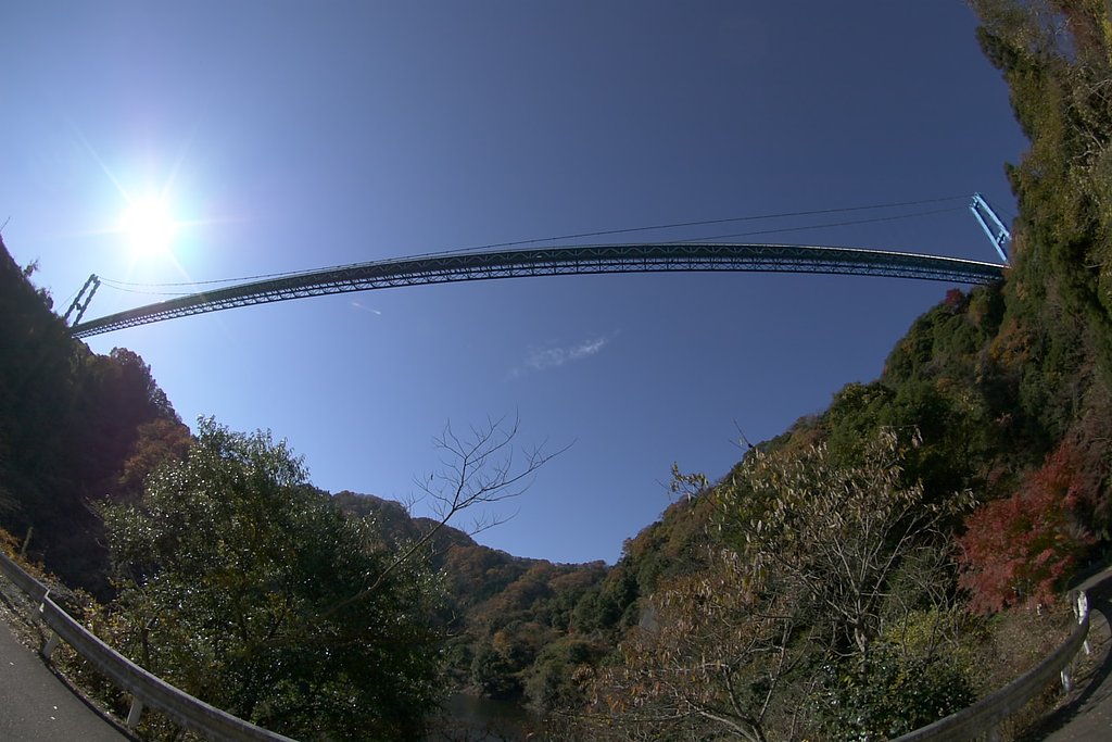 見上げれば