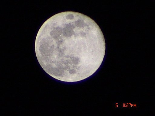 昨夜の満月です