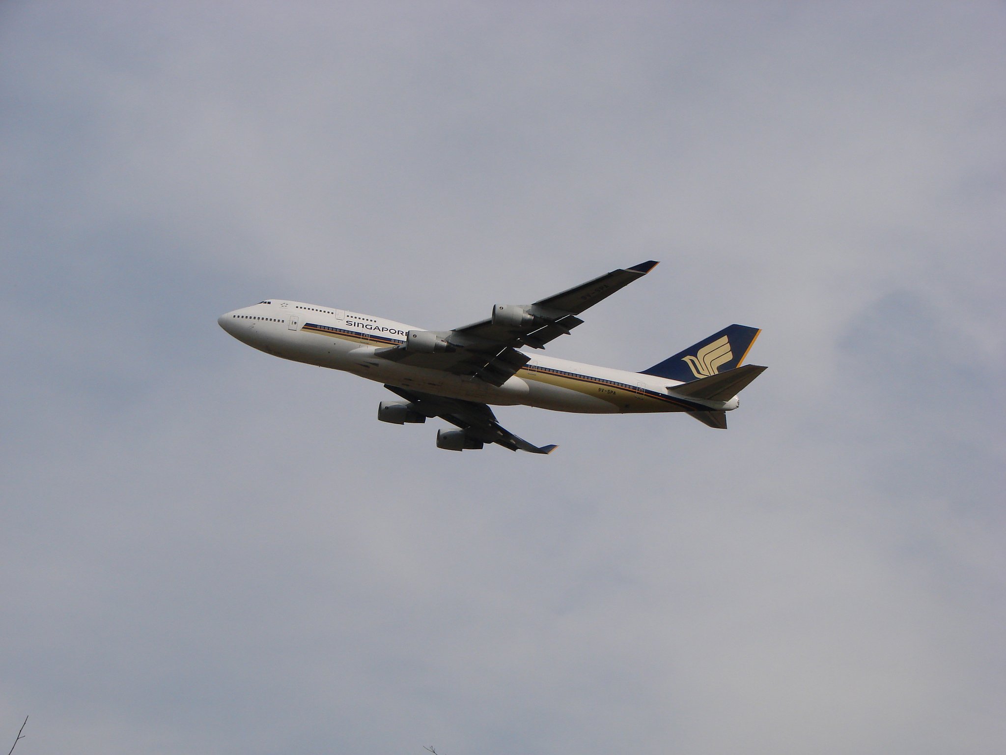 飛行機