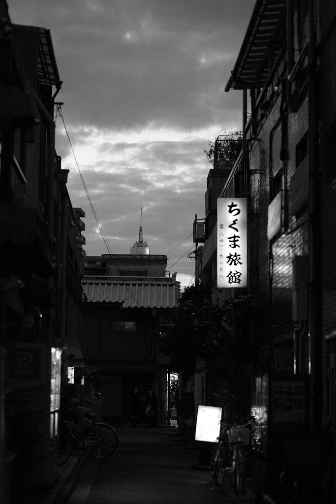 『木』夜の木